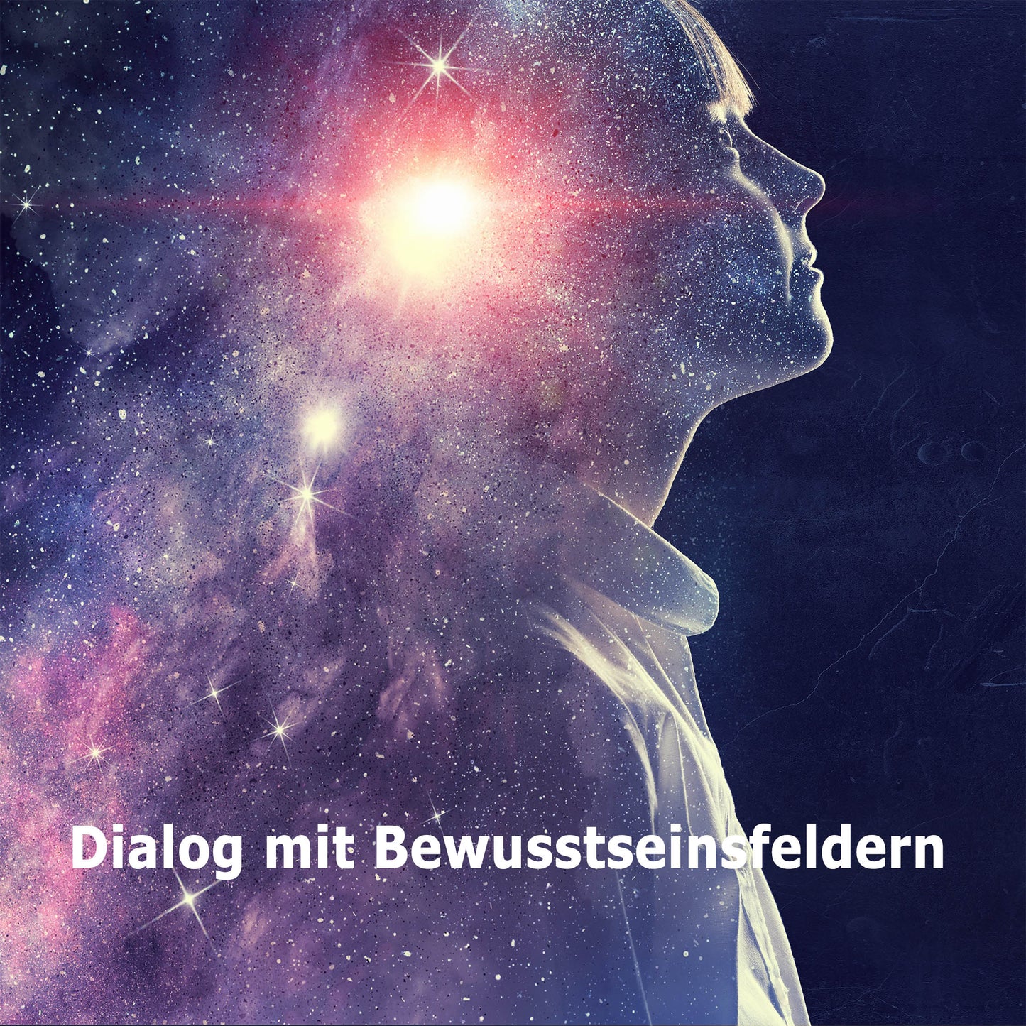 EXPERT - Dialog mit Bewusstseinsfeldern in WIEN/NÖ