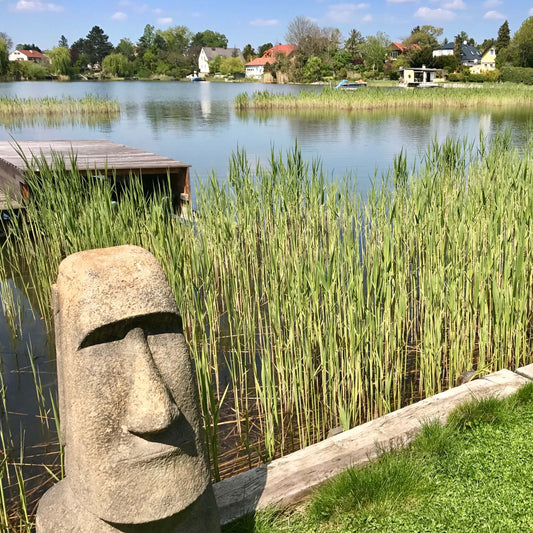 EXPERT  - Spirituelle Hypnosetechnik in WIEN/NÖ