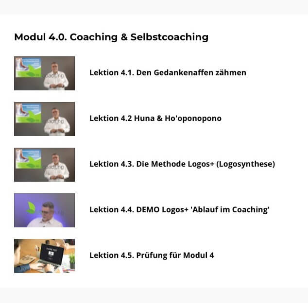 Der Überblick zu Modul 4. "Coaching & Selbstcoaching"